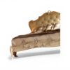 Designer carved bed for refined coastal interiors