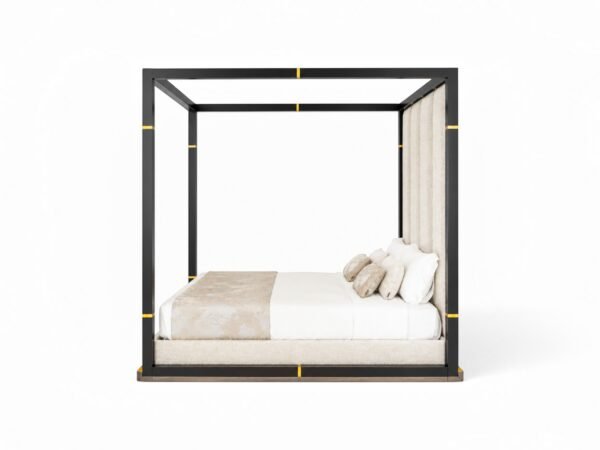 Modern canopy bed with black metal frame